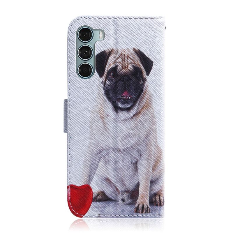 Læder Cover Moto G200 5g Telefon Etui Pug Dog