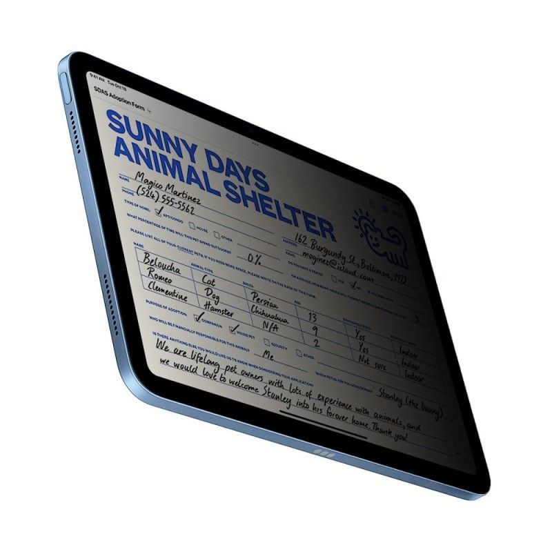 Anti-spionage Hærdet Glasskærmbeskytter Til iPad (2025) / 10.9" (2022)